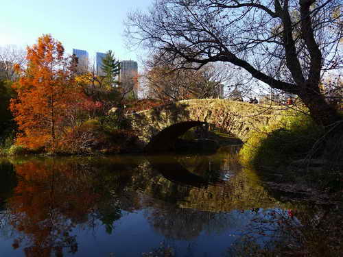 NYC_2012-11-22 13-19-21_P1070526